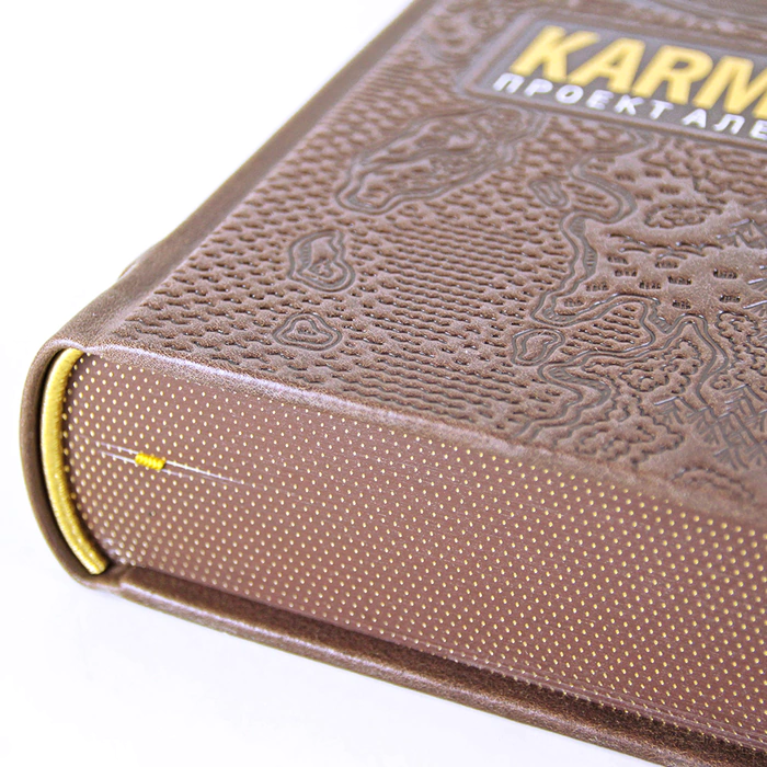The leather-bound book "Karmacoach" by A.P. Sitnikov